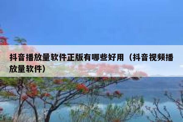 抖音播放量软件正版有哪些好用(抖音视频播放量软件) 第1张 抖音播放量软件正版有哪些好用(抖音视频播放量软件) 第1张