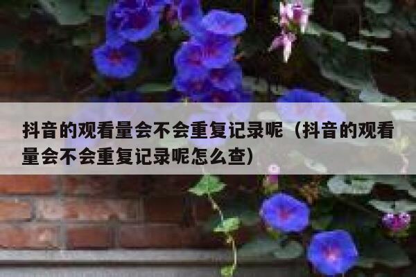 抖音的观看量会不会重复记录呢（抖音的观看量会不会重复记录呢怎么查） 第1张