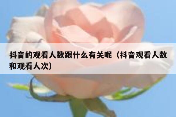抖音的观看人数跟什么有关呢（抖音观看人数和观看人次） 第1张