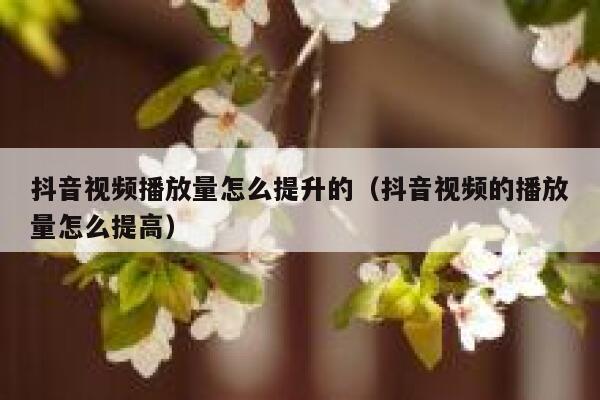 抖音视频播放量怎么提升的（抖音视频的播放量怎么提高） 第1张