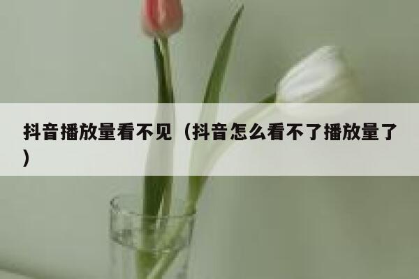抖音播放量看不见（抖音怎么看不了播放量了） 第1张