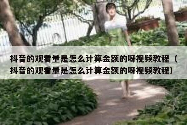 抖音的观看量是怎么计算金额的呀视频教程(抖音的观看量是怎么计算金额的呀视频教程) 第1张 抖音的观看量是怎么计算金额的呀视频教程(抖音的观看量是怎么计算金额的呀视频教程) 第1张