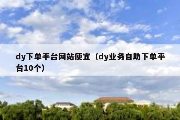 dy下单平台网站便宜（dy业务自助下单平台10个） 第1张