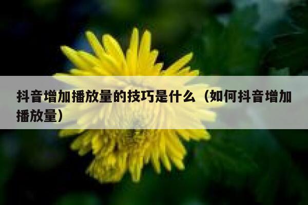抖音增加播放量的技巧是什么（如何抖音增加播放量） 第1张