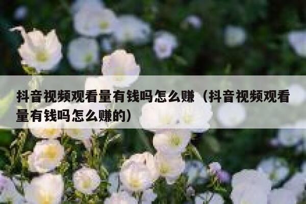 抖音视频观看量有钱吗怎么赚（抖音视频观看量有钱吗怎么赚的） 第1张