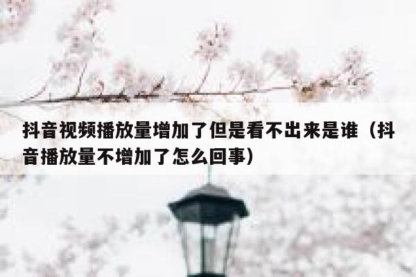 抖音视频播放量增加了但是看不出来是谁（抖音播放量不增加了怎么回事） 第1张
