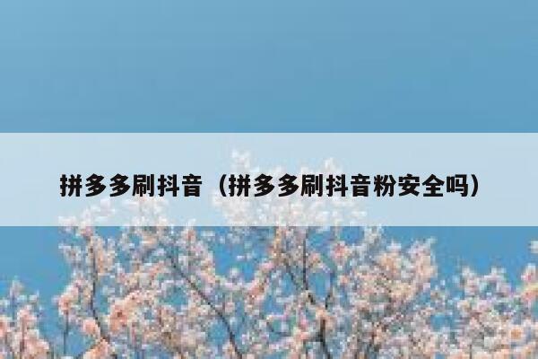 拼多多刷抖音（拼多多刷抖音粉安全吗） 第1张