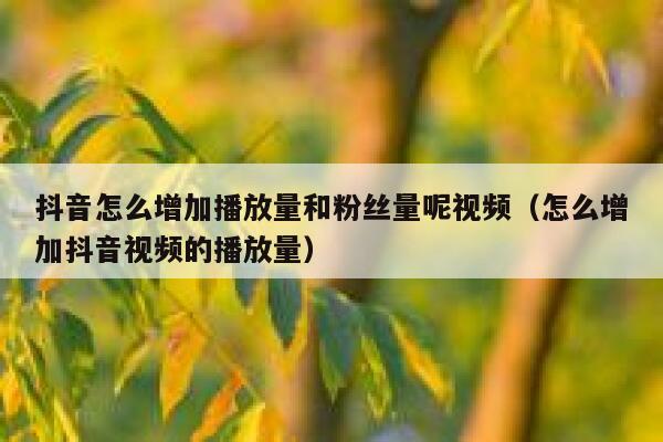抖音怎么增加播放量和粉丝量呢视频（怎么增加抖音视频的播放量） 第1张