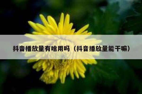 抖音播放量有啥用吗（抖音播放量能干嘛） 第1张