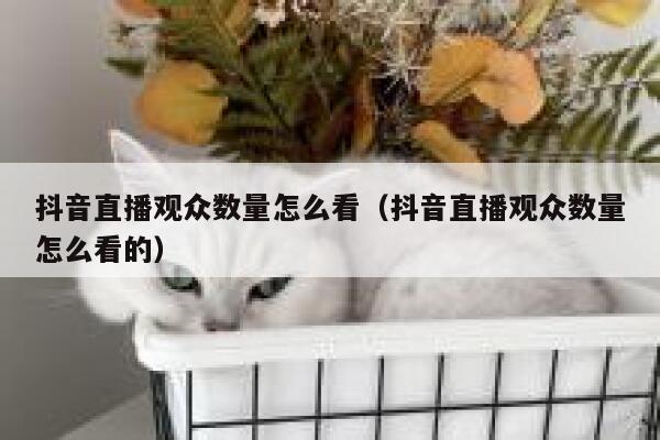 抖音直播观众数量怎么看（抖音直播观众数量怎么看的） 第1张