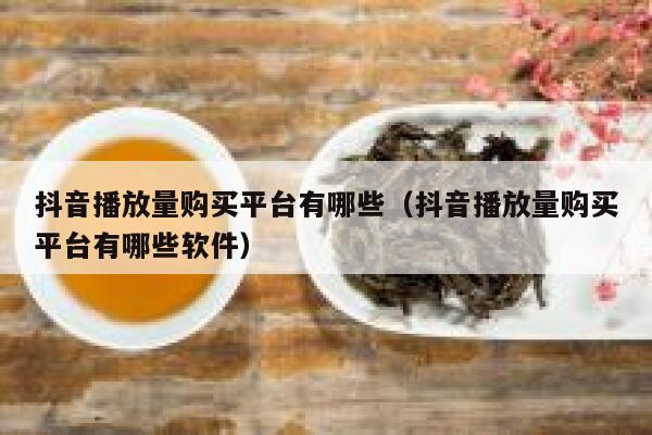 抖音播放量购买平台有哪些（抖音播放量购买平台有哪些软件） 第1张