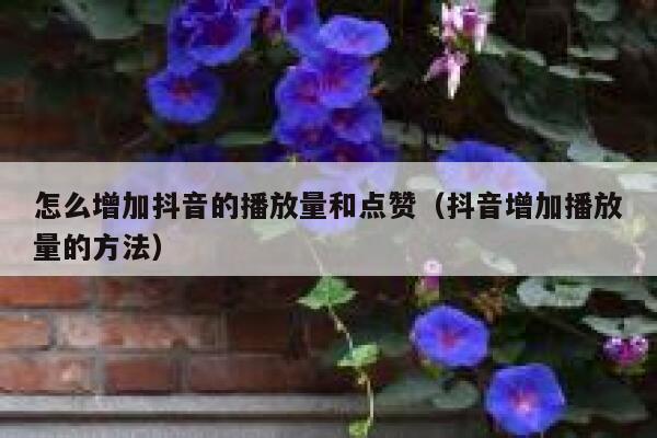 怎么增加抖音的播放量和点赞(抖音增加播放量的方法) 第1张 怎么增加抖音的播放量和点赞(抖音增加播放量的方法) 第1张