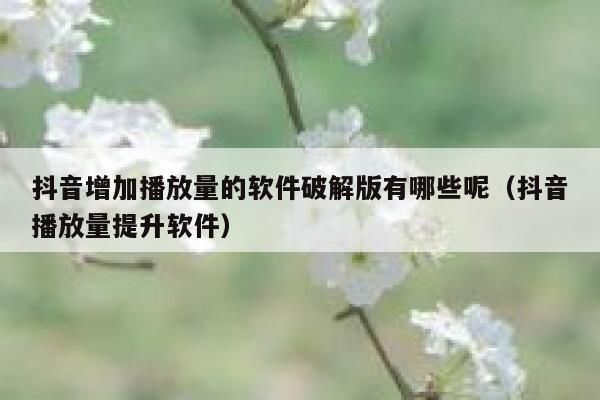 抖音增加播放量的软件破解版有哪些呢（抖音播放量提升软件） 第1张