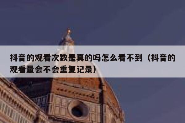 抖音的观看次数是真的吗怎么看不到（抖音的观看量会不会重复记录） 第1张