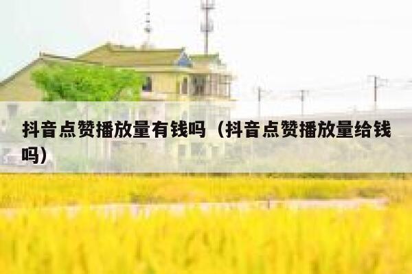 抖音点赞播放量有钱吗（抖音点赞播放量给钱吗） 第1张