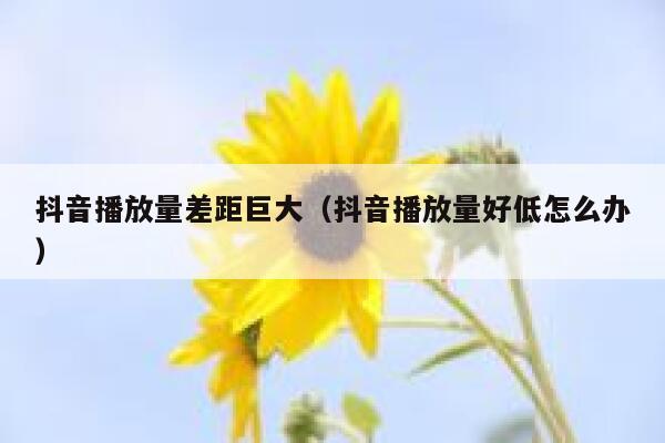 抖音播放量差距巨大（抖音播放量好低怎么办） 第1张
