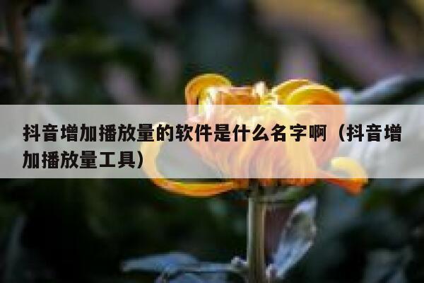 抖音增加播放量的软件是什么名字啊（抖音增加播放量工具） 第1张