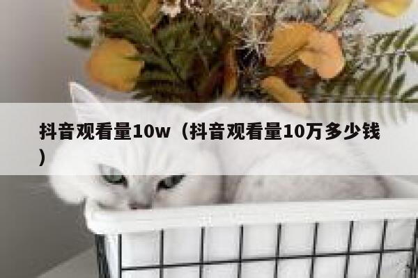 抖音观看量10w（抖音观看量10万多少钱） 第1张