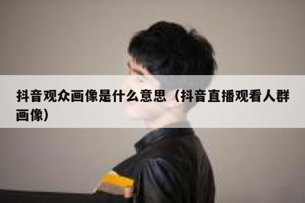 抖音观众画像是什么意思（抖音直播观看人群画像） 第1张