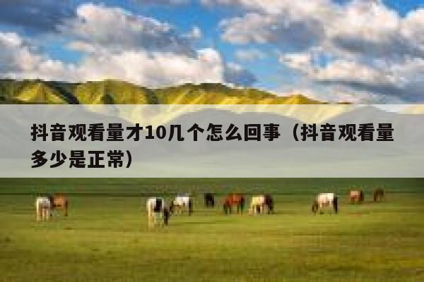 抖音观看量才10几个怎么回事（抖音观看量多少是正常） 第1张