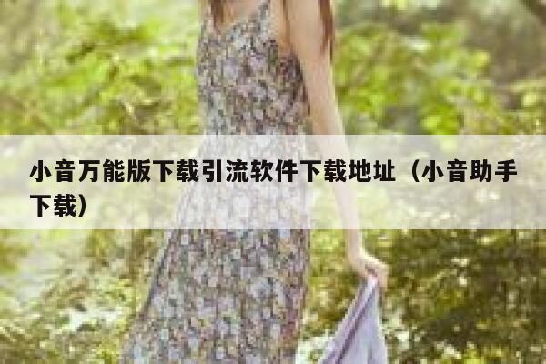 小音万能版下载引流软件下载地址（小音助手下载） 第1张