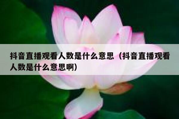 抖音直播观看人数是什么意思(抖音直播观看人数是什么意思啊) 第1张 抖音直播观看人数是什么意思(抖音直播观看人数是什么意思啊) 第1张