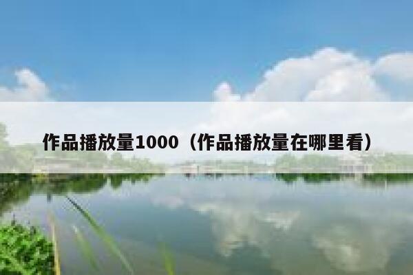 作品播放量1000（作品播放量在哪里看） 第1张