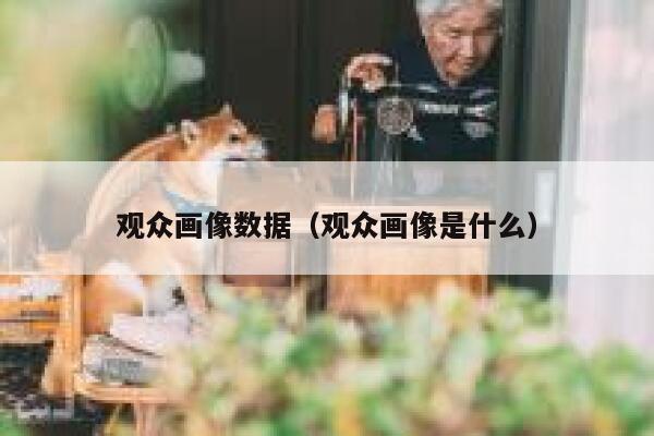 观众画像数据（观众画像是什么） 第1张
