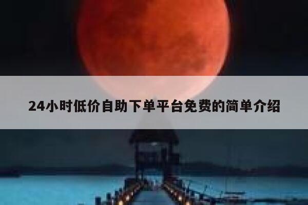 24小时低价自助下单平台免费的简单介绍 第1张