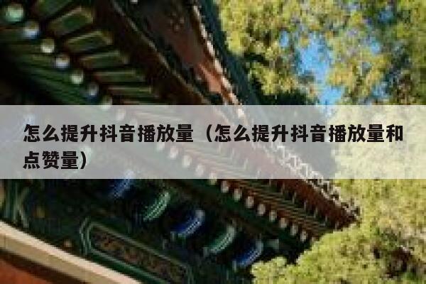 怎么提升抖音播放量（怎么提升抖音播放量和点赞量） 第1张