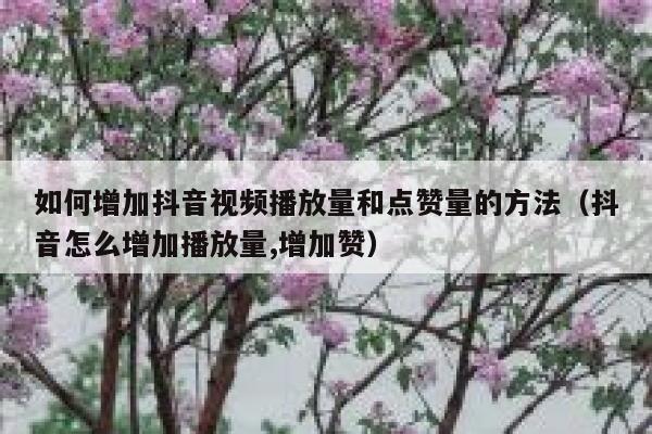 如何增加抖音视频播放量和点赞量的方法（抖音怎么增加播放量,增加赞） 第1张