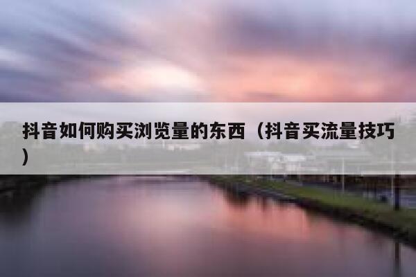 抖音如何购买浏览量的东西（抖音买流量技巧） 第1张