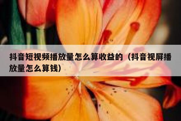 抖音短视频播放量怎么算收益的（抖音视屏播放量怎么算钱） 第1张