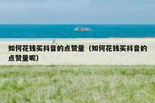 如何花钱买抖音的点赞量（如何花钱买抖音的点赞量呢） 第1张