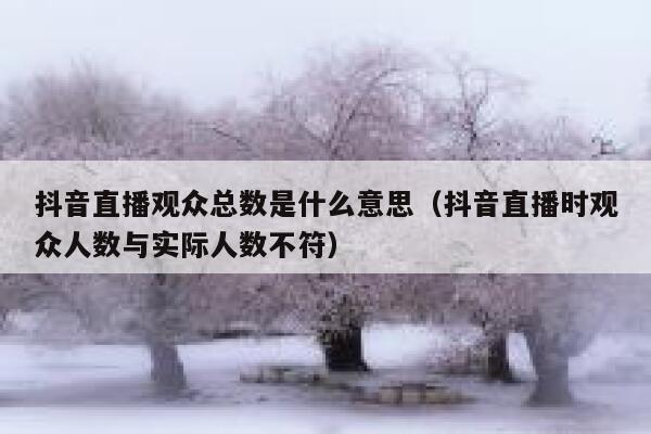 抖音直播观众总数是什么意思（抖音直播时观众人数与实际人数不符） 第1张