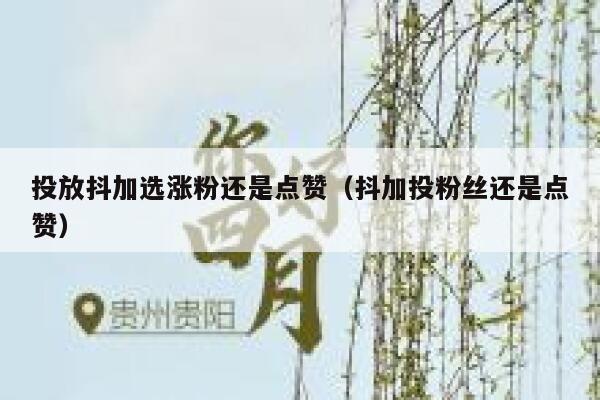 投放抖加选涨粉还是点赞（抖加投粉丝还是点赞） 第1张