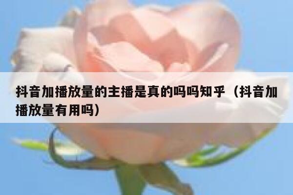 抖音加播放量的主播是真的吗吗知乎（抖音加播放量有用吗） 第1张