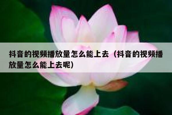 抖音的视频播放量怎么能上去（抖音的视频播放量怎么能上去呢） 第1张