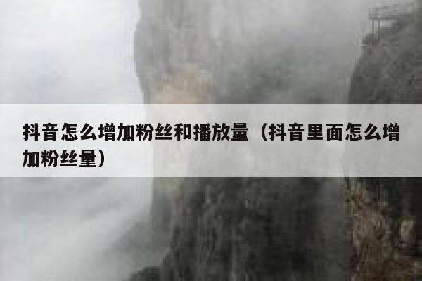 抖音怎么增加粉丝和播放量（抖音里面怎么增加粉丝量） 第1张