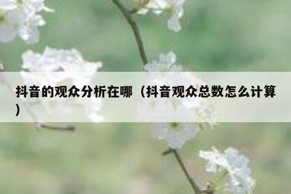 抖音的观众分析在哪（抖音观众总数怎么计算） 第1张