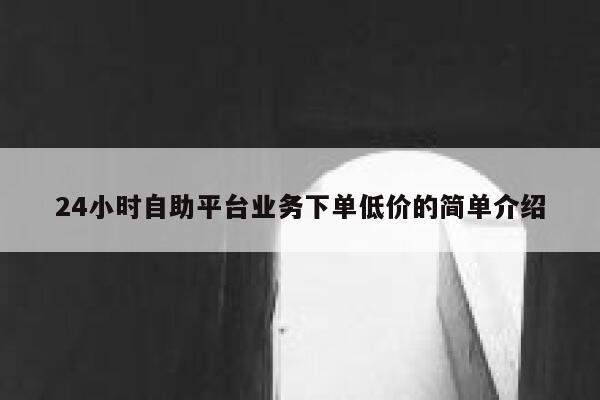 24小时自助平台业务下单低价的简单介绍 第1张