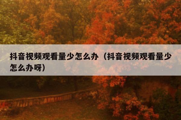 抖音视频观看量少怎么办（抖音视频观看量少怎么办呀） 第1张
