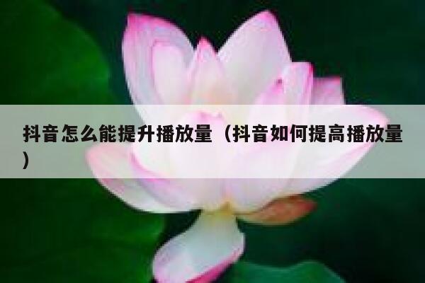 抖音怎么能提升播放量（抖音如何提高播放量） 第1张