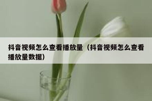 抖音视频怎么查看播放量（抖音视频怎么查看播放量数据） 第1张
