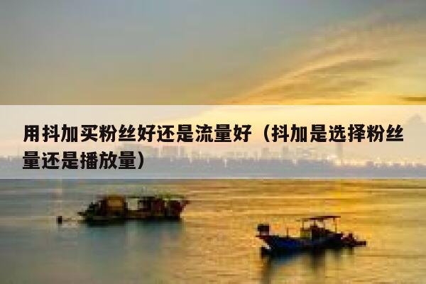 用抖加买粉丝好还是流量好(抖加是选择粉丝量还是播放量) 第1张 用抖加买粉丝好还是流量好(抖加是选择粉丝量还是播放量) 第1张