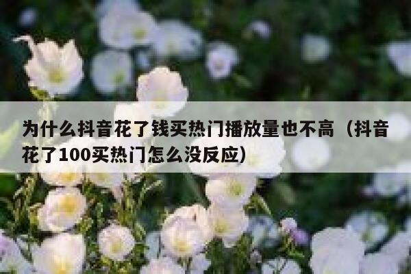 为什么抖音花了钱买热门播放量也不高（抖音花了100买热门怎么没反应） 第1张