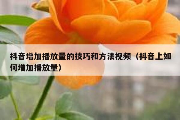 抖音增加播放量的技巧和方法视频（抖音上如何增加播放量） 第1张