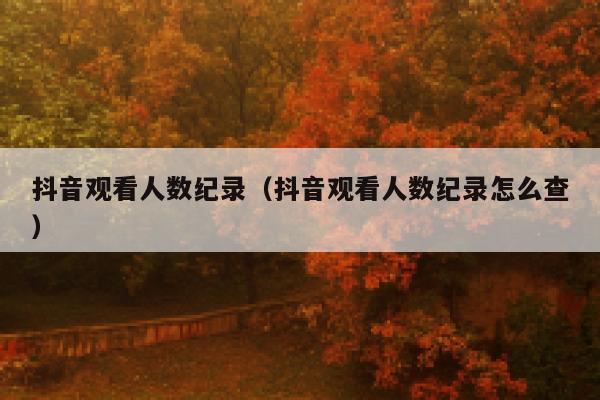 抖音观看人数纪录（抖音观看人数纪录怎么查） 第1张