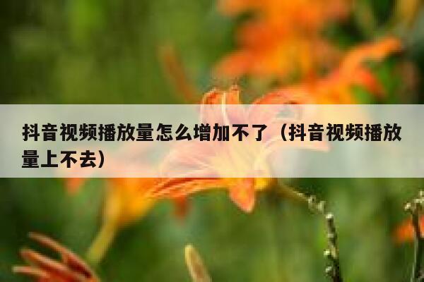 抖音视频播放量怎么增加不了(抖音视频播放量上不去) 第1张 抖音视频播放量怎么增加不了(抖音视频播放量上不去) 第1张