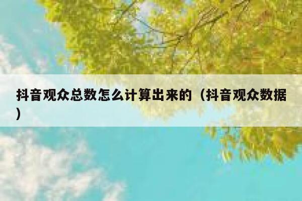 抖音观众总数怎么计算出来的（抖音观众数据） 第1张